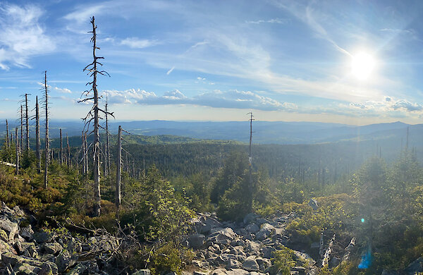 Wanderung zum Lusen, Berg im Bayerischen Wald